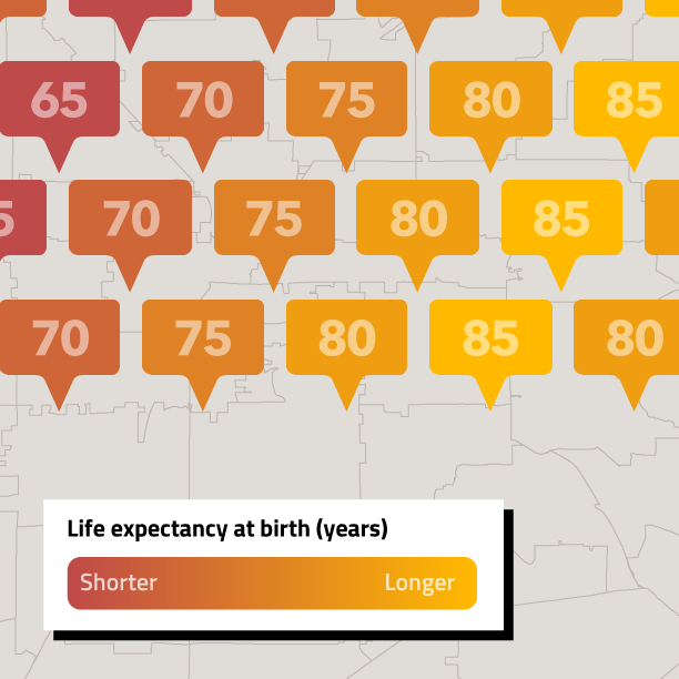 Mapping Life Expectancy