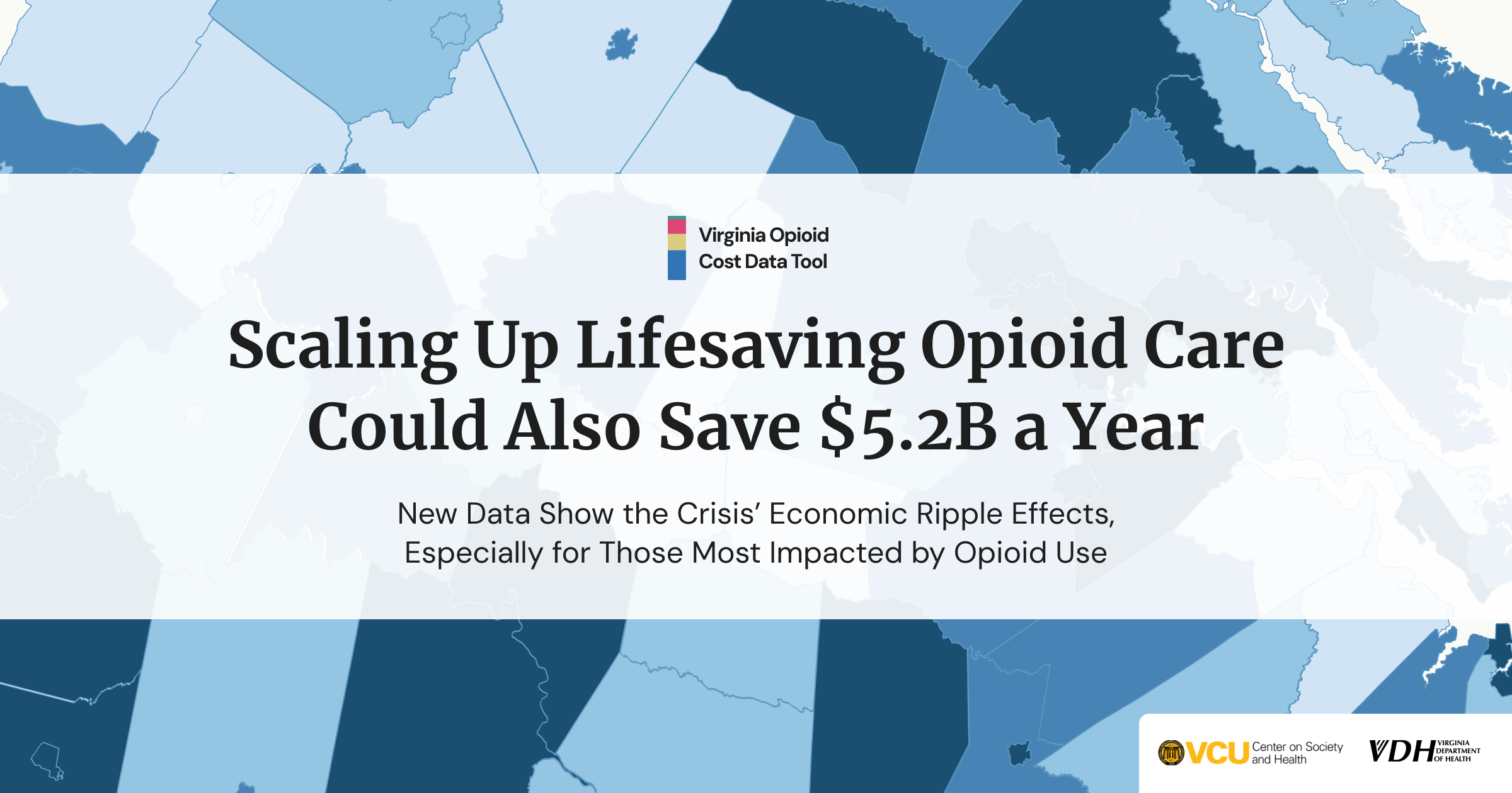 Virginia Opioid Cost Data Tool